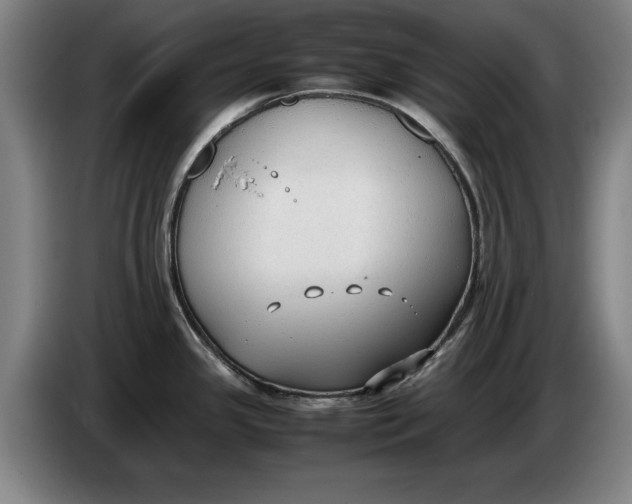 X0000086331341200704202034