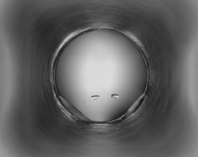 X0000086331342200704202034