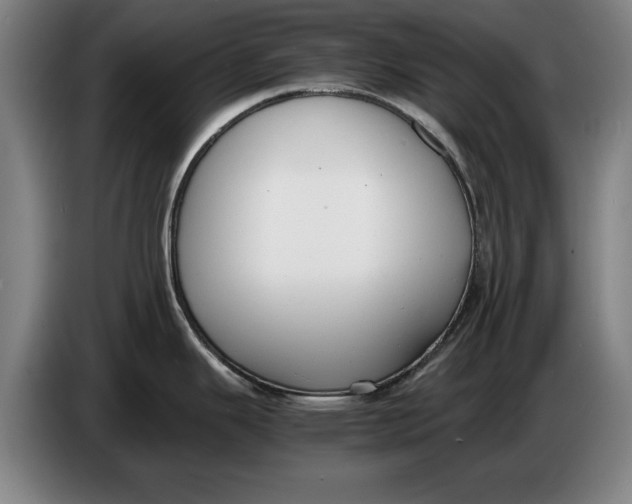 X0000086331343200704202034