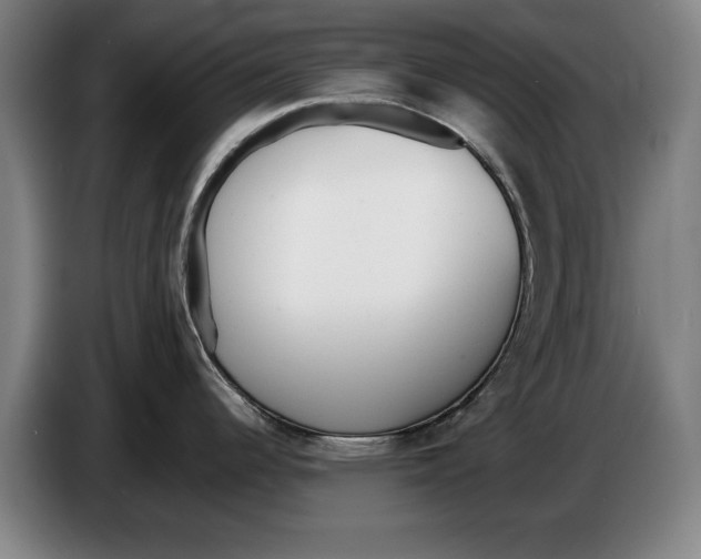 X0000086331344200704202034