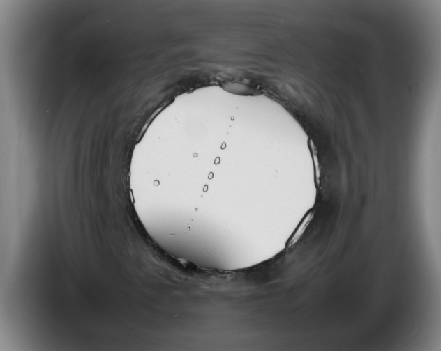 X0000086331345200704202033