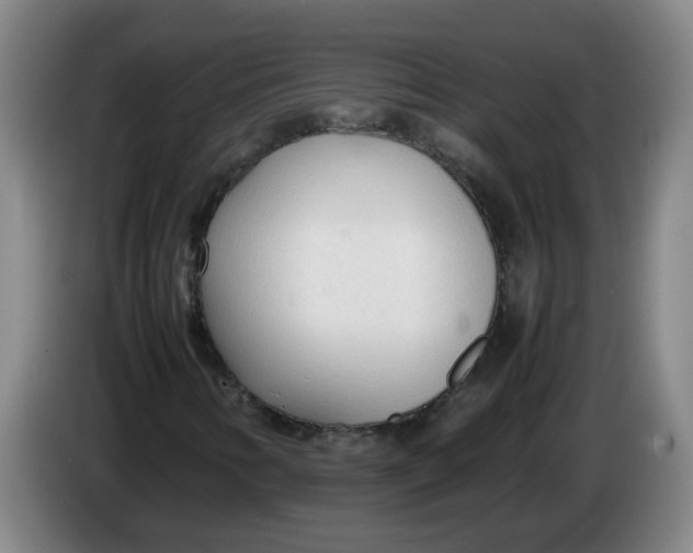 X0000086331346200704202033