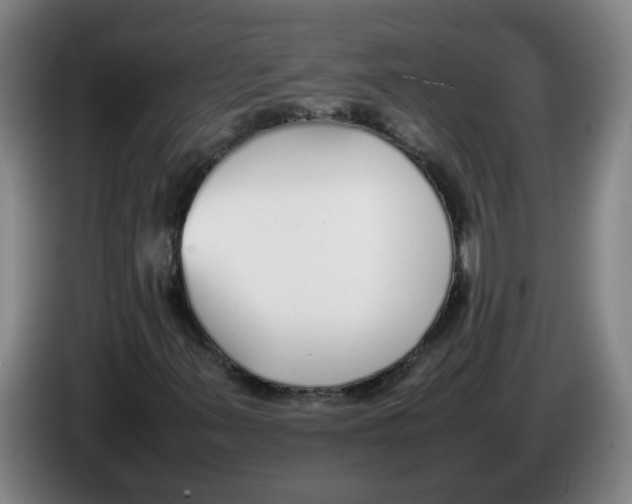 X0000086331347200704202033