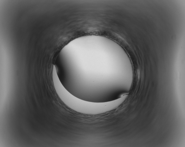 X0000086331348200704202033