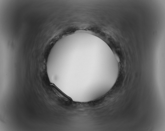 X0000086331349200704202033