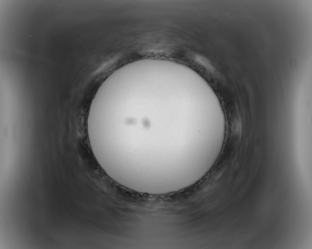 X0000086331350200704202033