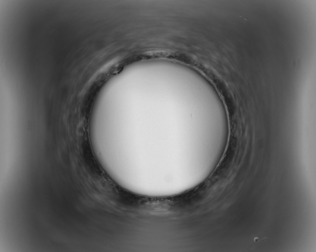 X0000086331351200704202033