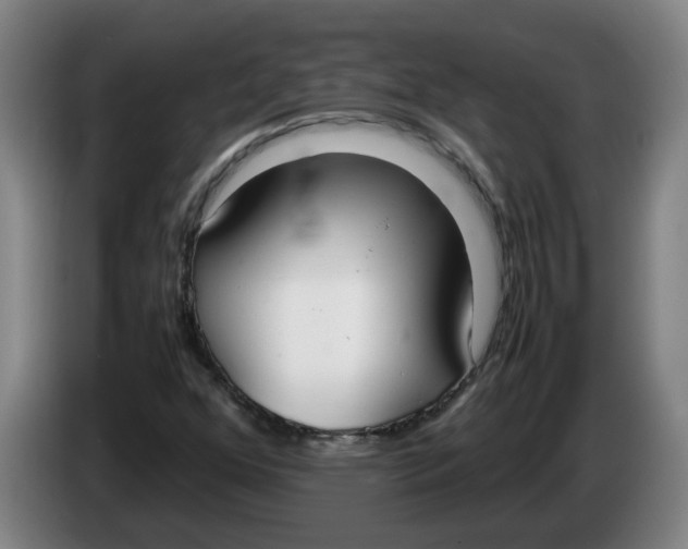 X0000086331352200704202033