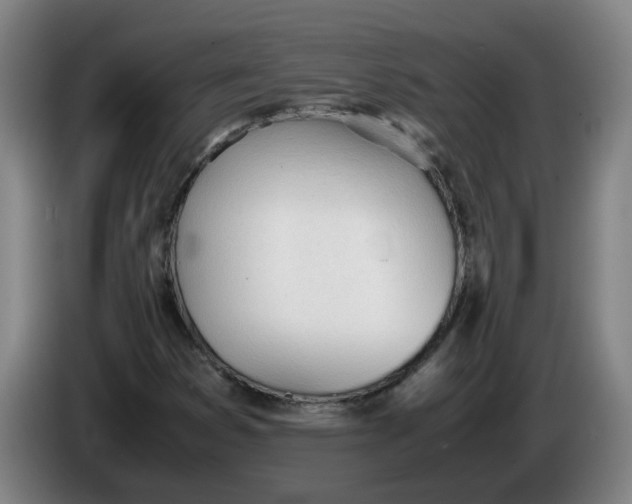 X0000086331353200704202033