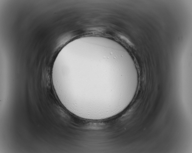 X0000086331354200704202033