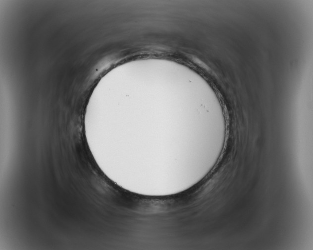 X0000086331355200704202033