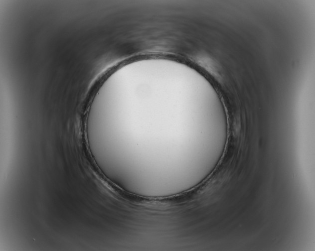 X0000086331356200704202033