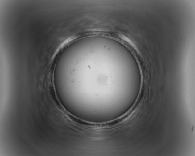 X0000086331357200704202033