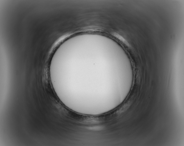 X0000086331358200704202033