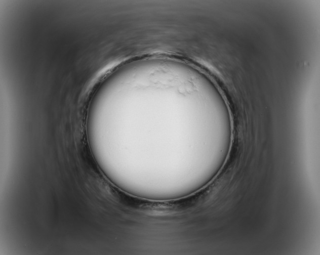 X0000086331359200704202033