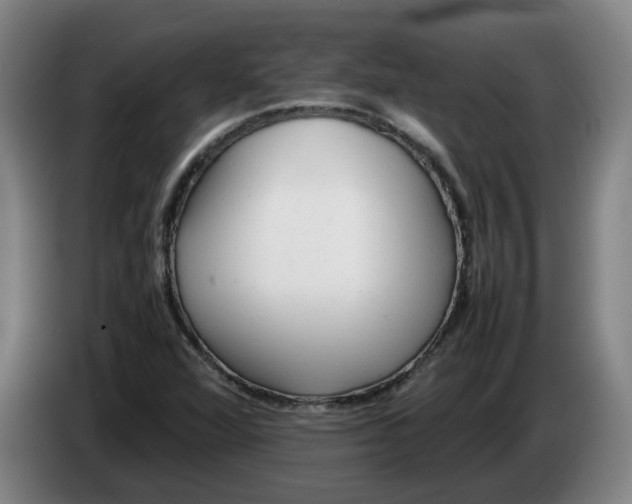 X0000086331360200704202033