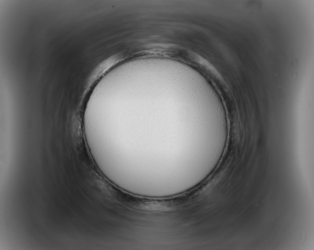 X0000086331362200704202033