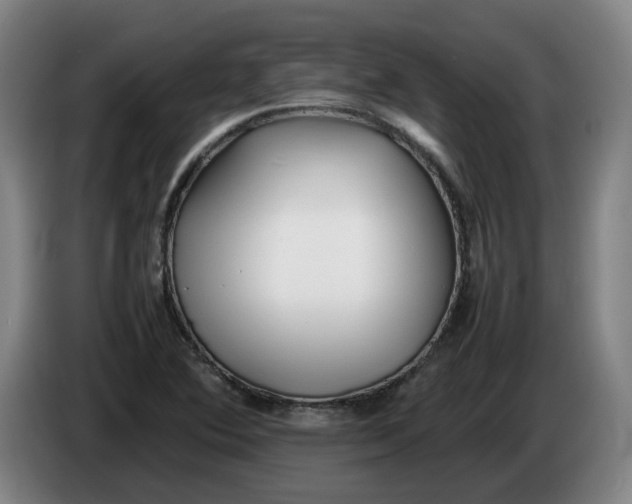 X0000086331364200704202033