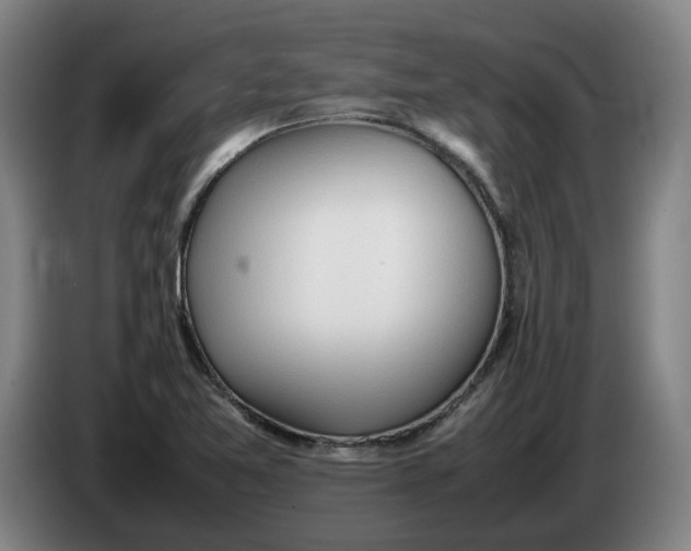 X0000086331365200704202033