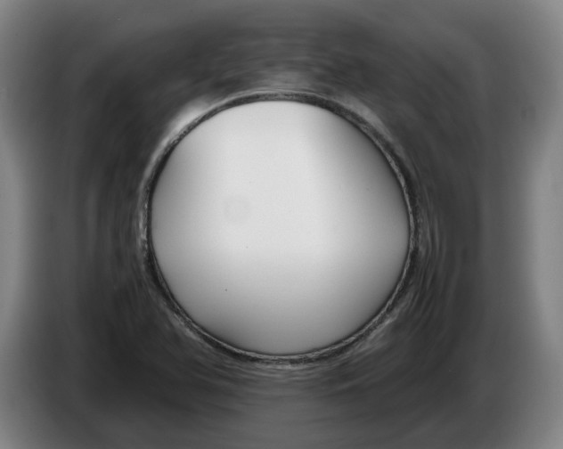 X0000086331366200704202033