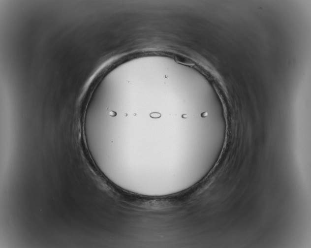 X0000086331368200704202033