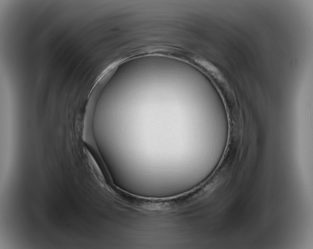 X0000086331369200704202033