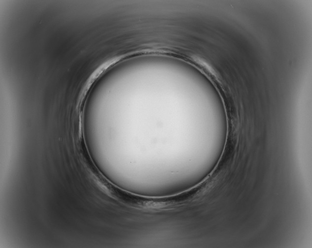 X0000086331371200704202033