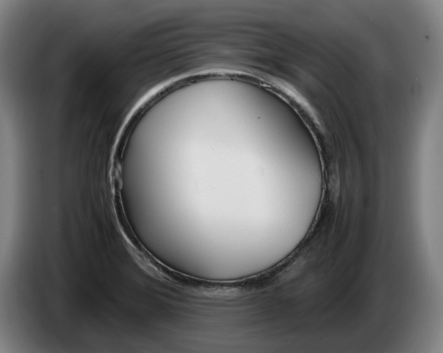 X0000086331372200704202033