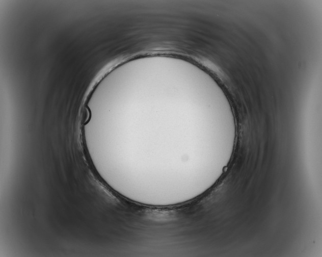 X0000086331374200704202033