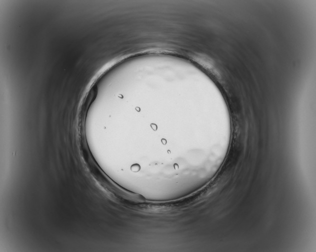 X0000086331375200704202033