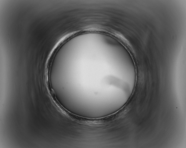 X0000086331376200704202033