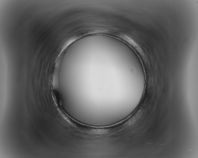 X0000086331377200704202033