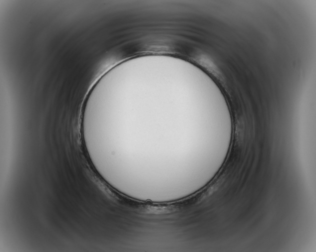 X0000086331378200704202033