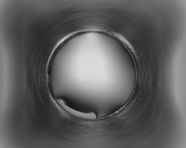 X0000086331380200704202033