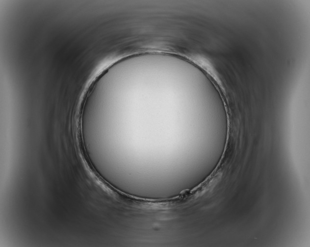 X0000086331381200704202033