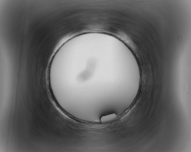 X0000086331382200704202033