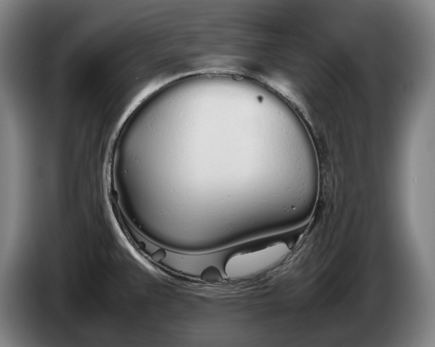 X0000086331383200704202033