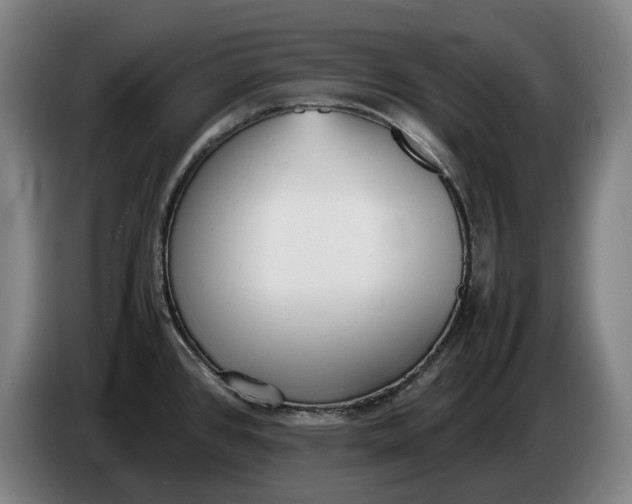 X0000086331384200704202033