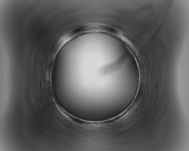 X0000086331385200704202033