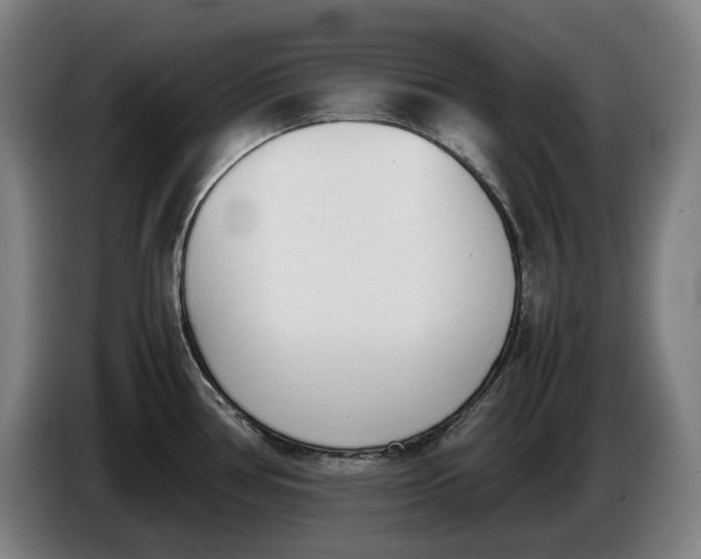 X0000086331386200704202033