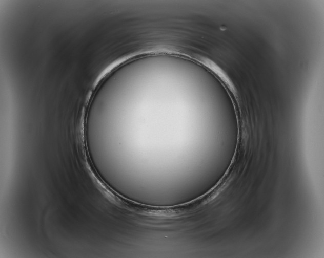 X0000086331388200704202033