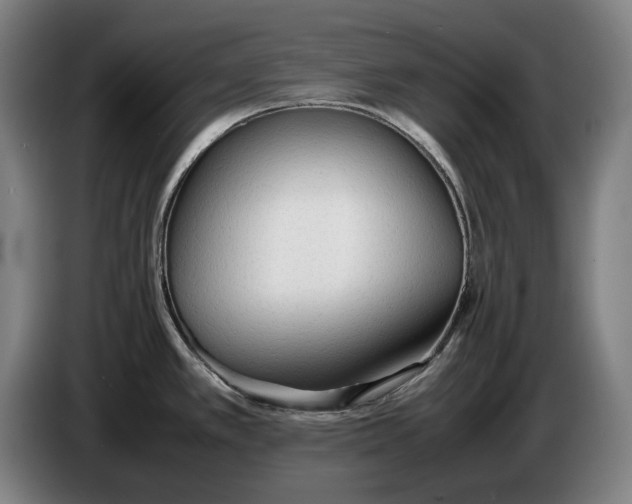 X0000086331389200704202033