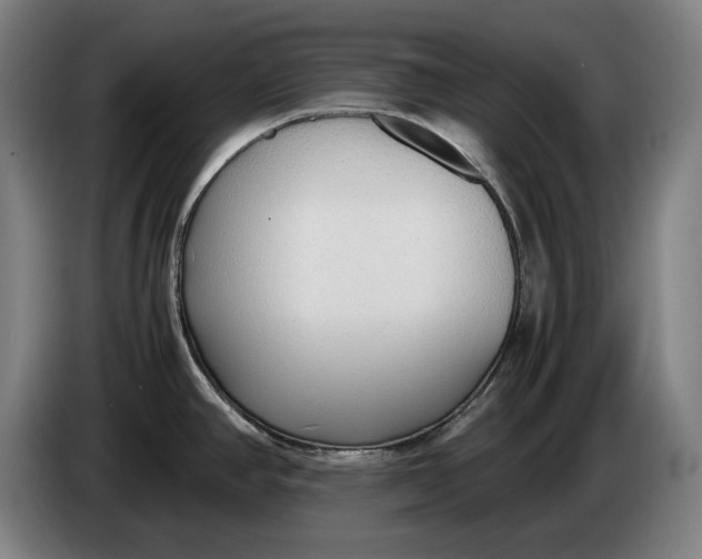 X0000086331390200704202033