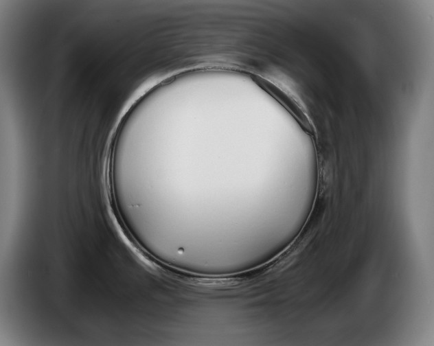 X0000086331391200704202033