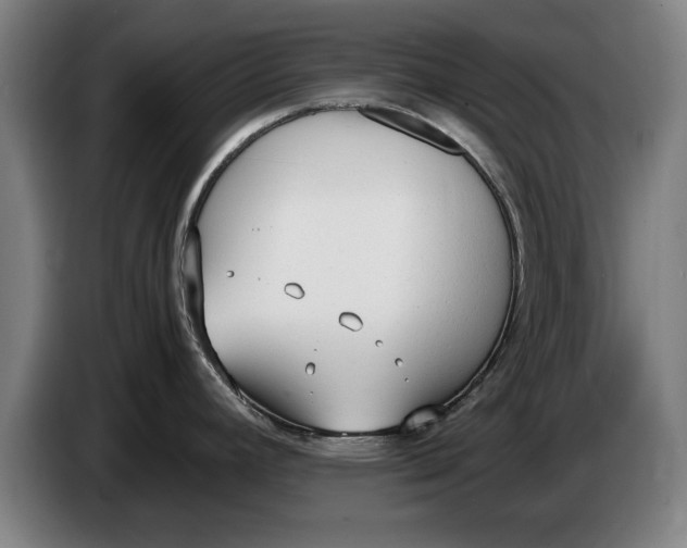 X0000086331392200704202033