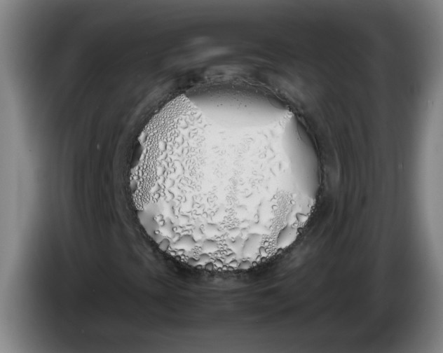 X0000086331393200704202032