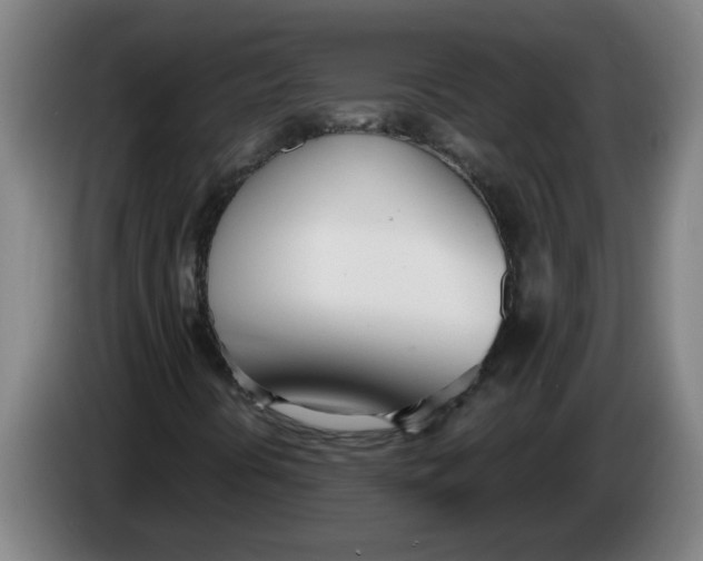 X0000086331394200704202032