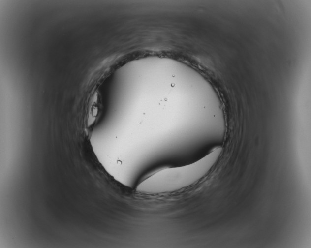 X0000086331398200704202032