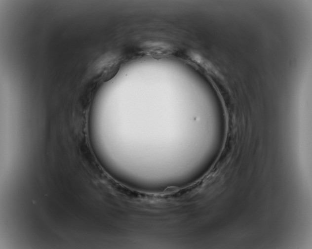 X0000086331399200704202032