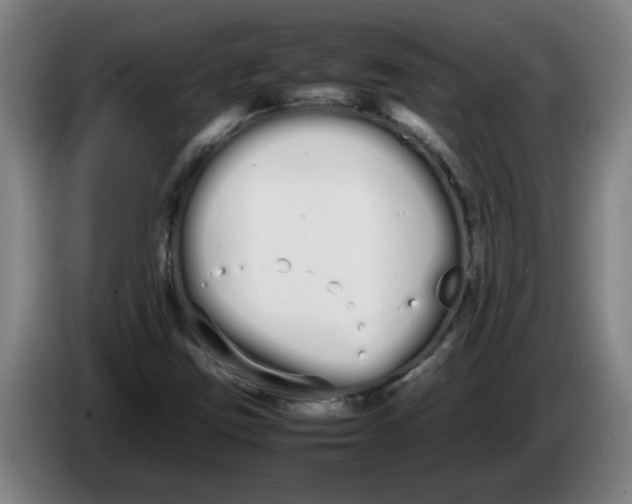 X0000086331403200704202032